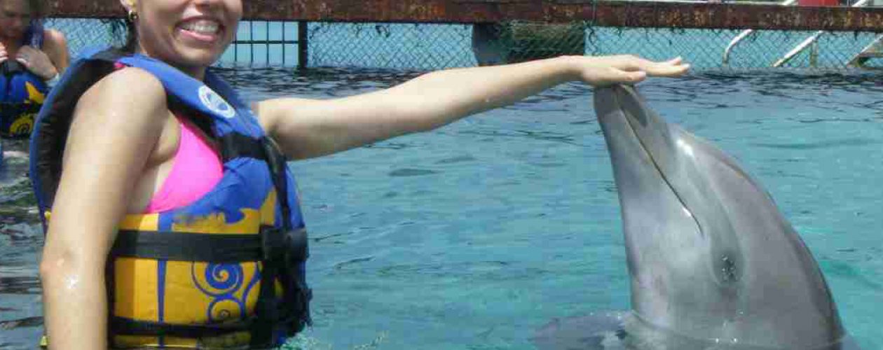 Conoce los beneficios de la terapia con delfines o delfinoterapia