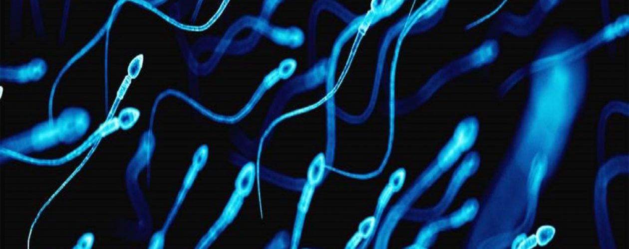 Lo nuevo: Test de fertilidad masculina