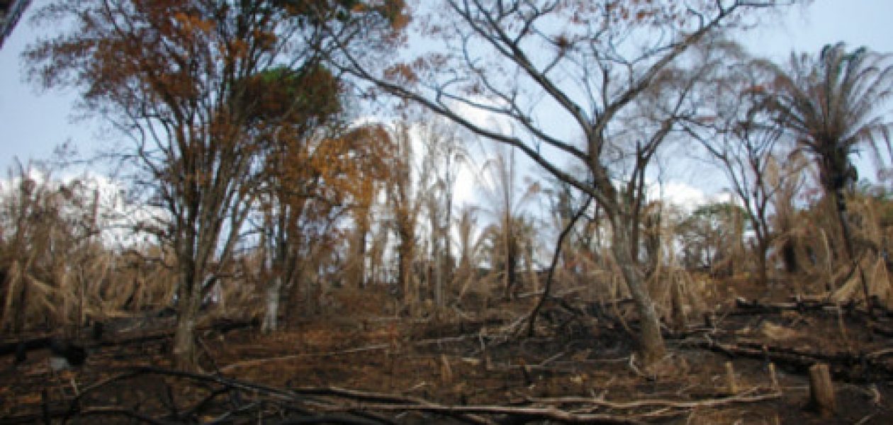 Tierras expropiadas por el gobierno están improductivas y abandonadas