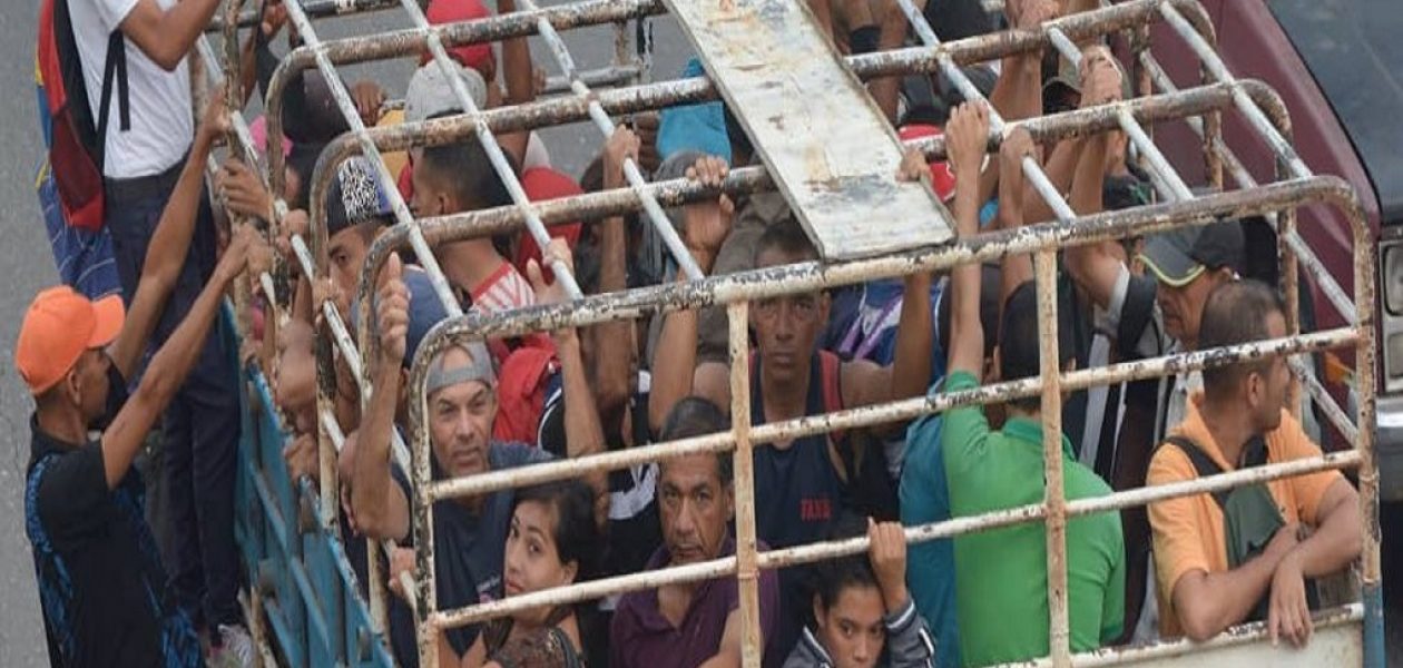 En «cochineras» se trasladan los venezolanos del Tocuyito a Valencia