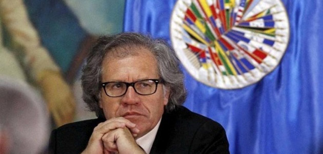 Almagro denuncia detención arbitraria de dirigentes opositores