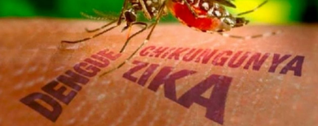 El Zika derivado en Guillain-Barré  deja tres muertos en Aragua