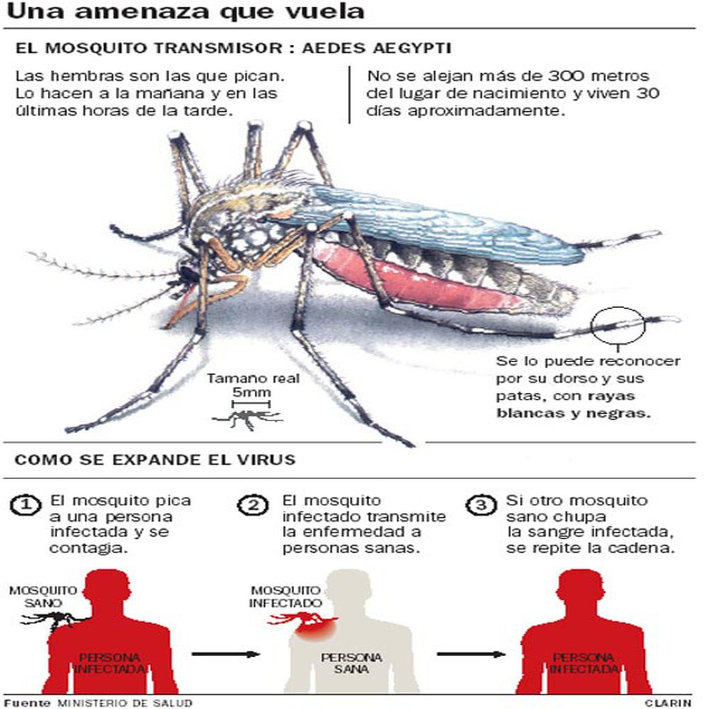 Nuevos brotes de paludismo en Bolívar y sin tratamiento