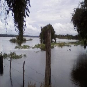 Piden refugio ante fuertes inundaciones en Guayana