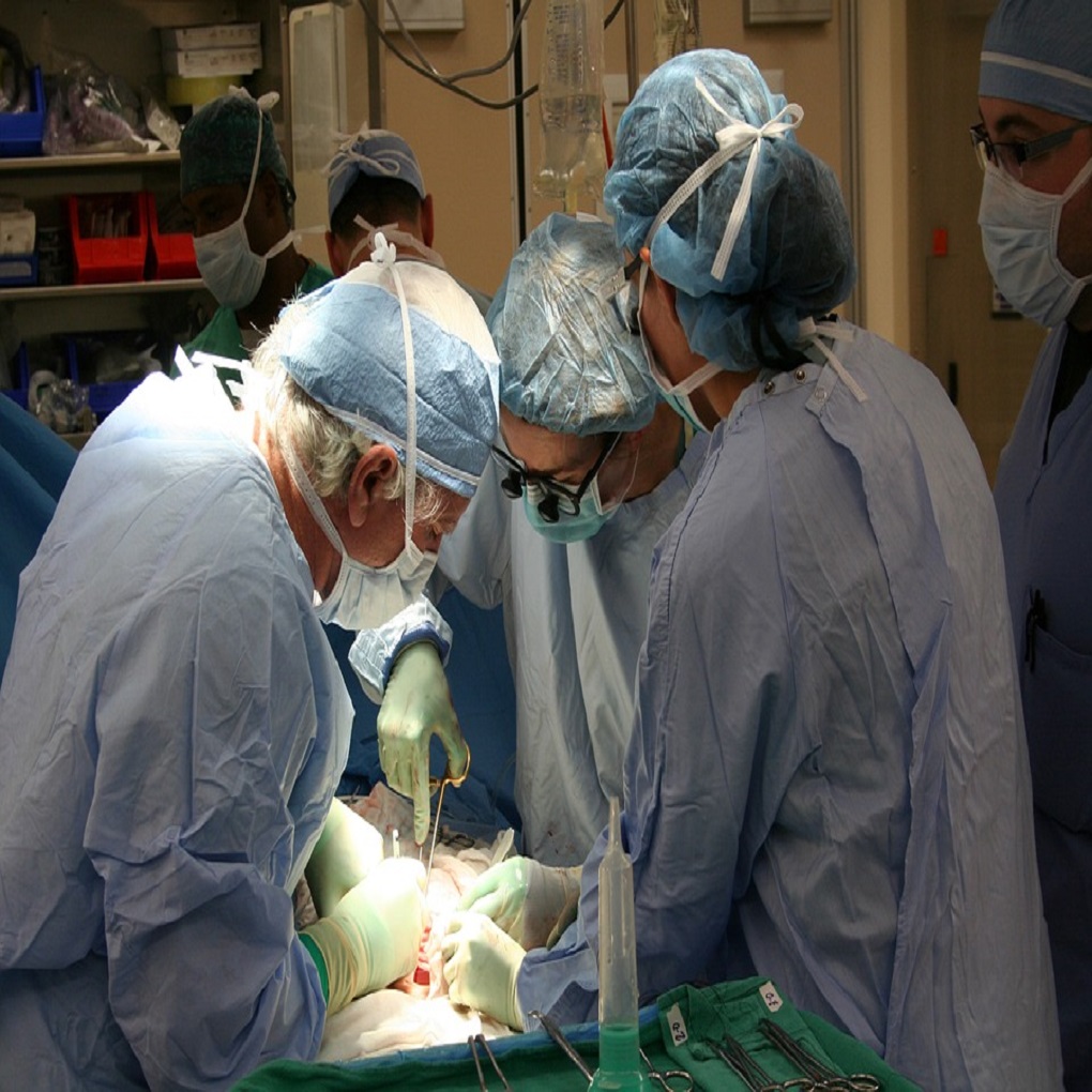 Paralizado sistema de donación y trasplantes de órganos en Venezuela